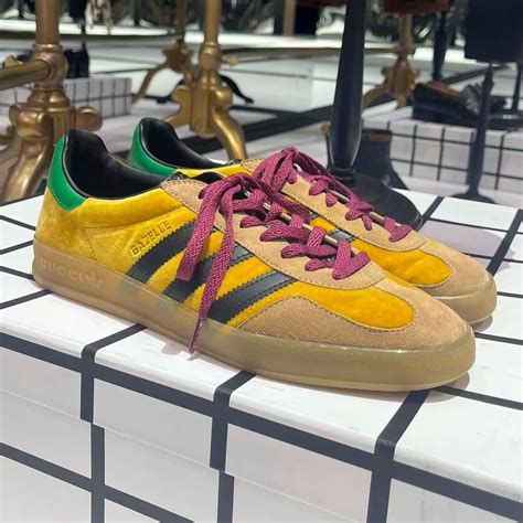 gucci samba.